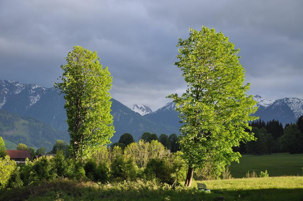 Apartmenthaus Dornroeschen Ramsau am Dachstein Buitenkant foto