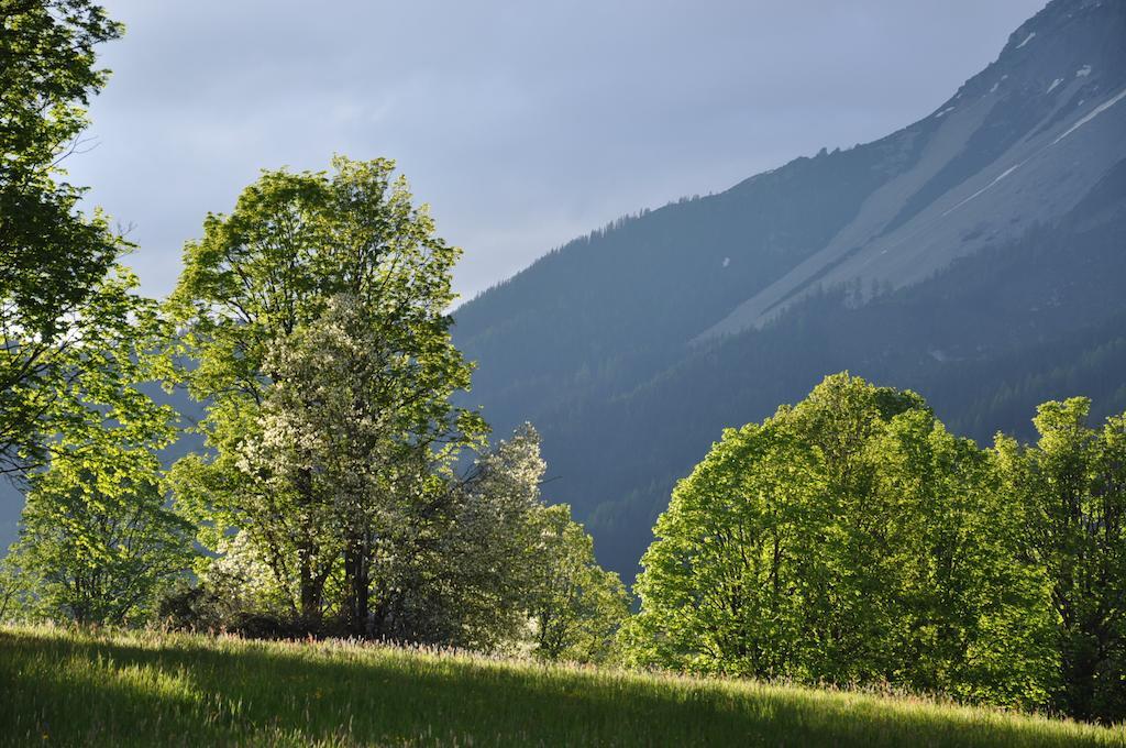 Apartmenthaus Dornroeschen Ramsau am Dachstein Buitenkant foto